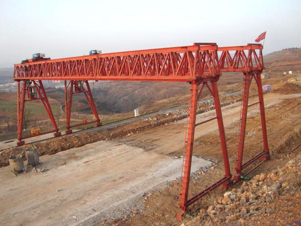 Flower gantry crane